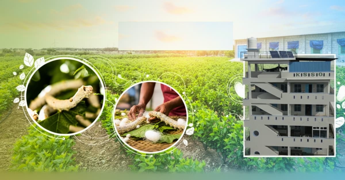 Quality Seed Production