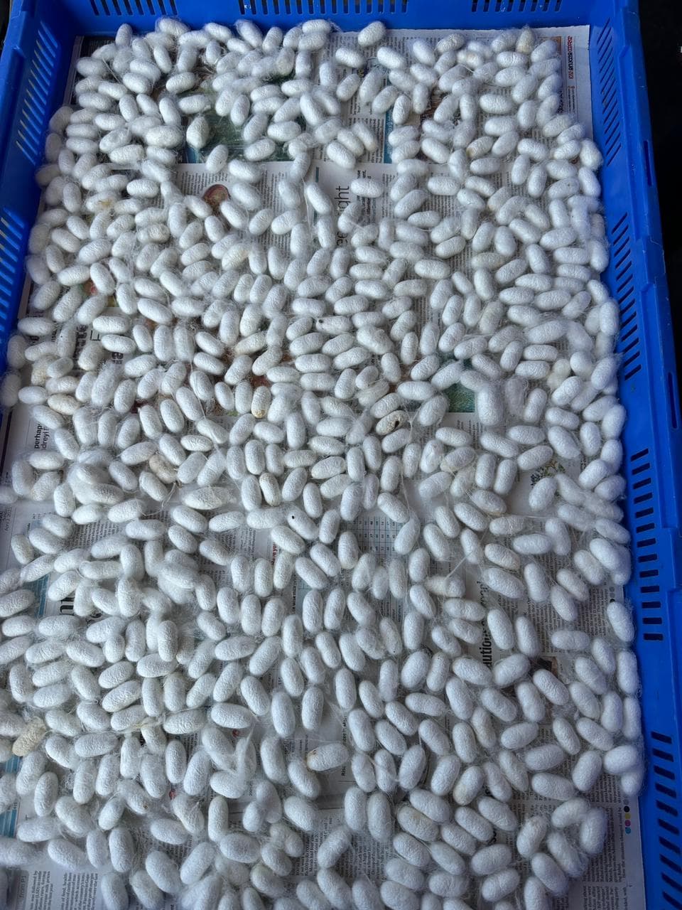 KSSO supporting farmers